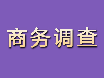 富平商务调查